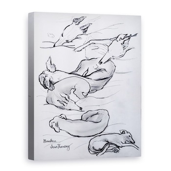 Tablou canvas - Joan Thewsey - Bracken, Whippet, 2000, 50 x 70 cm Tablou canvas - Joan Thewsey - Bracken, Whippet, 2000, 50 x 70 cm