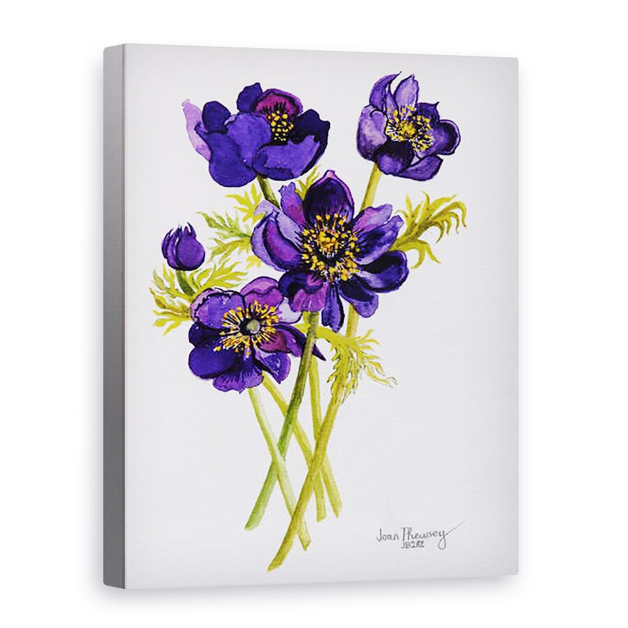 Tablou canvas - Joan Thewsey - Anemone, 2011, 75 x 100 cm