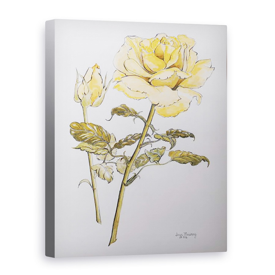 Tablou canvas - Joan Thewsey - Trandafir galben cu frunze cu Bud, 2012, 60 x 80 cm