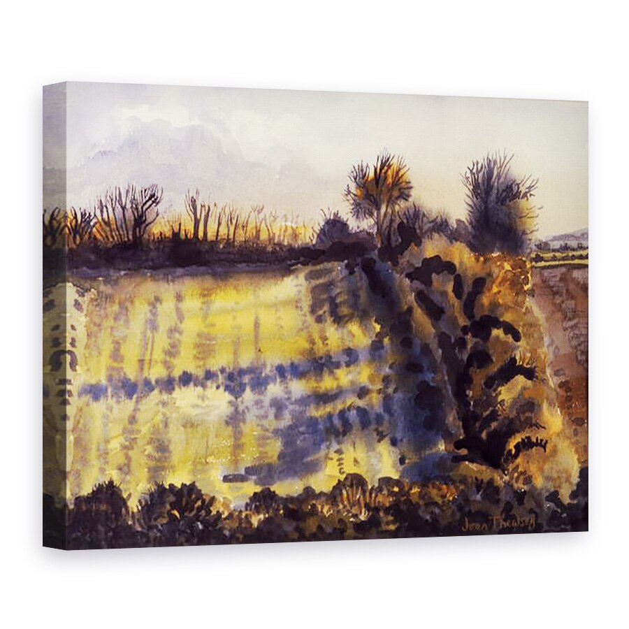 Tablou canvas - Joan Thewsey - Camp cu umbre lungi, 1990, 50 x 70 cm