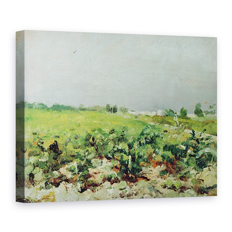 Tablou canvas - Henri de Toulouse-Lautrec - Celeyran, Vedere de Podgorie, 75 x 100 cm