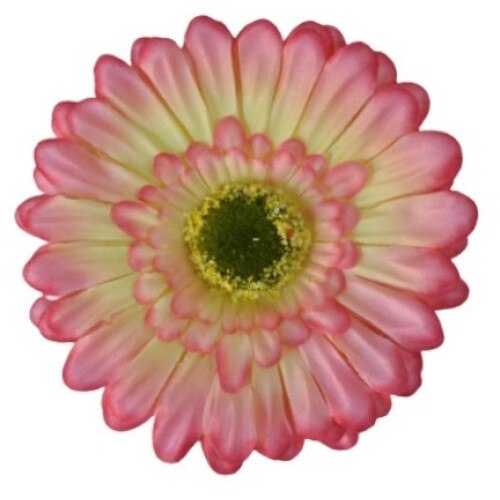 Set 24 x cap gerbera, roz,, 12 cm - eMAG.ro