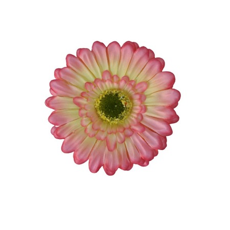 Set 24 x cap gerbera, roz,, 12 cm - eMAG.ro