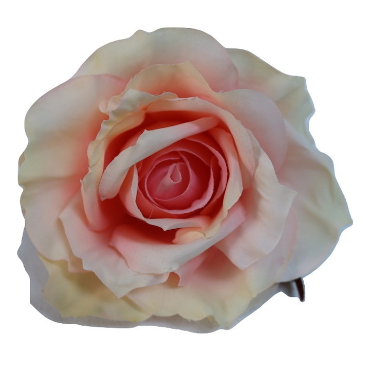 Set 12 x cap trandafir, roz pudrat, 13 cm