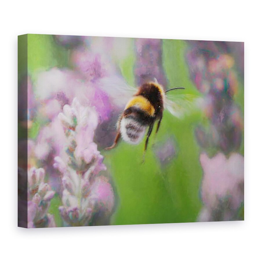 Tablou canvas - Helen White - Albina in Lavanda, 2018, 75 x 100 cm