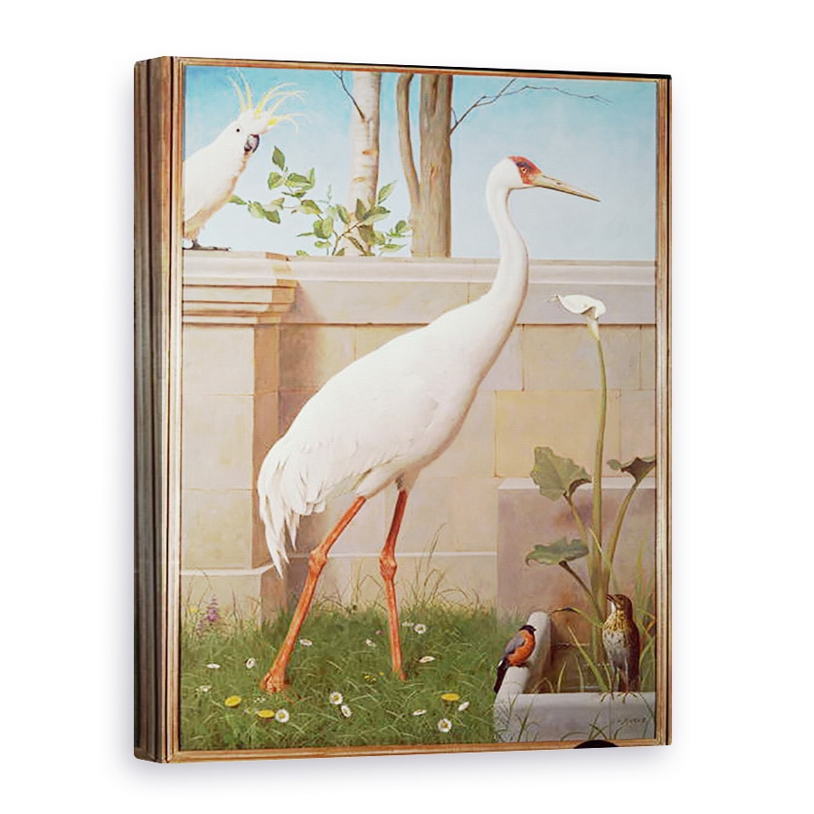Tablou canvas - Henry Stacey Marks - Indian Crane, Cacadu, 75 x 100 cm