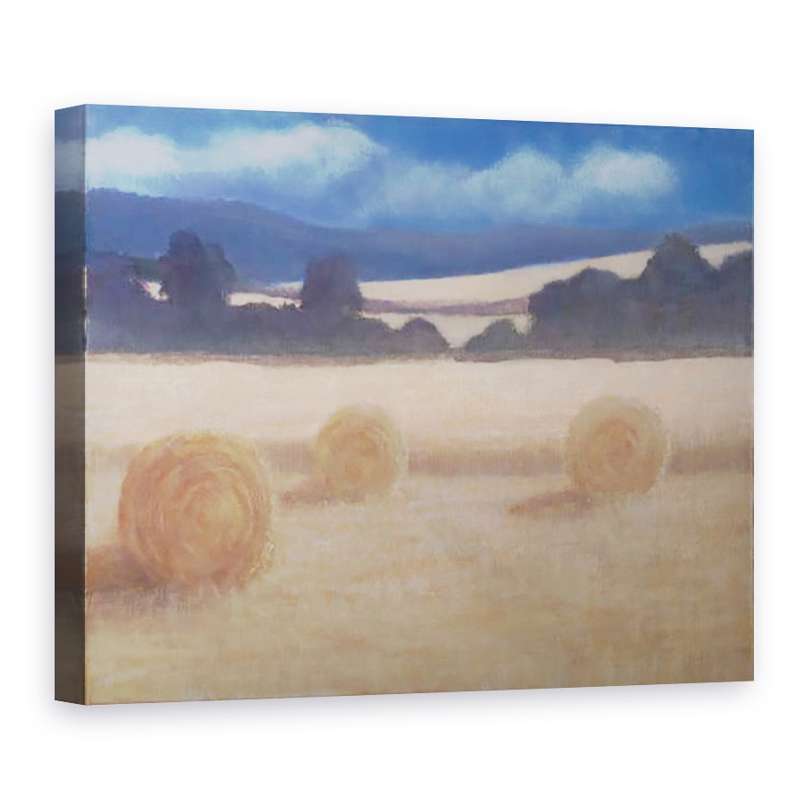 Tablou canvas - Lincoln Seligman - Doua baloturi de fan, 75 x 100 cm