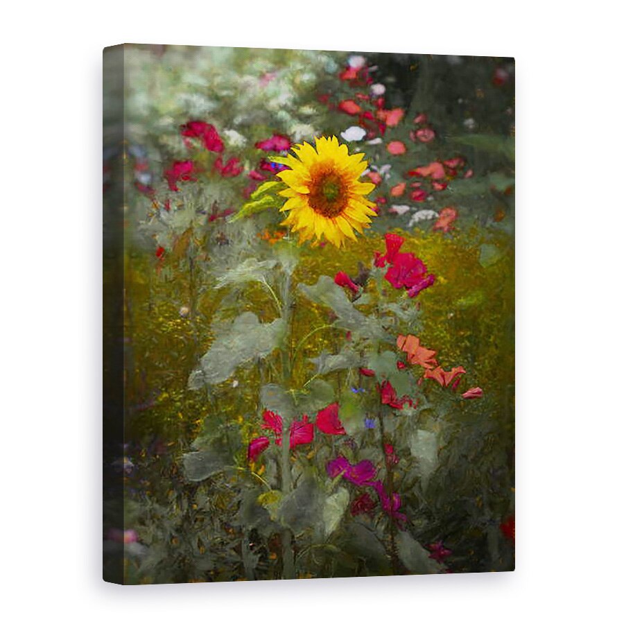 Tablou canvas - Helen White - Regele Soarelui, 2019, 60 x 80 cm