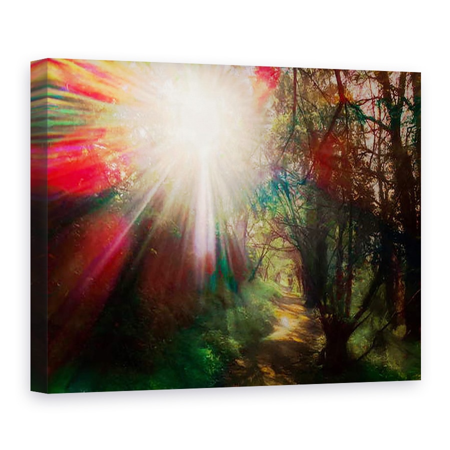 Tablou canvas - Helen White - Floarea Vietii, 2020, 75 x 100 cm