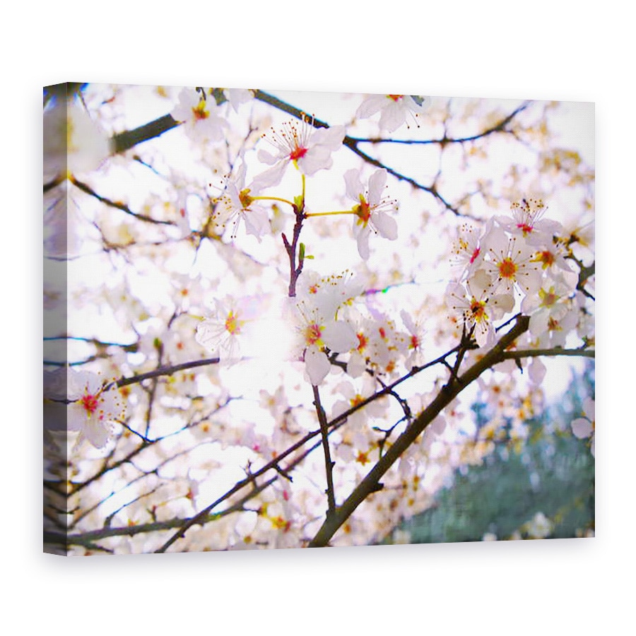 Tablou canvas - Helen White - Floarea de Primavara, 2018, 75 x 100 cm