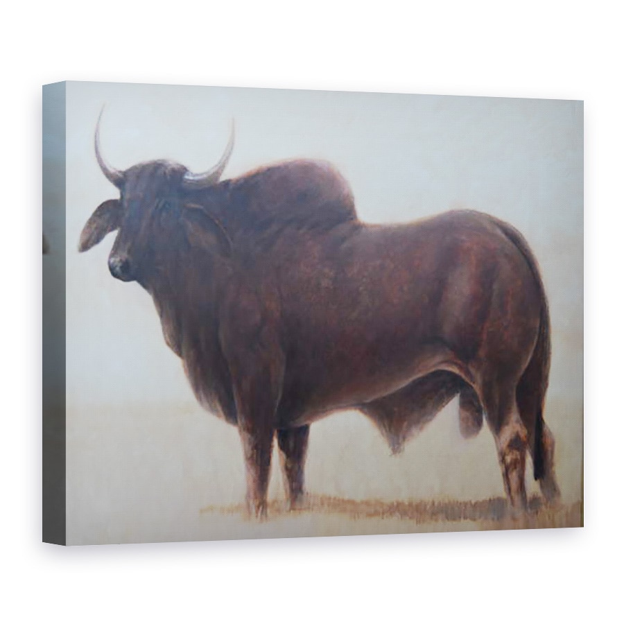 Tablou canvas - Lincoln Seligman - Taurul II, 60 x 80 cm