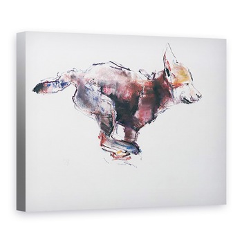 Tablou canvas - Mark Adlington - Alergare lup pui, 75 x 100 cm Tablou canvas - Mark Adlington - Alergare lup pui, 75 x 100 cm