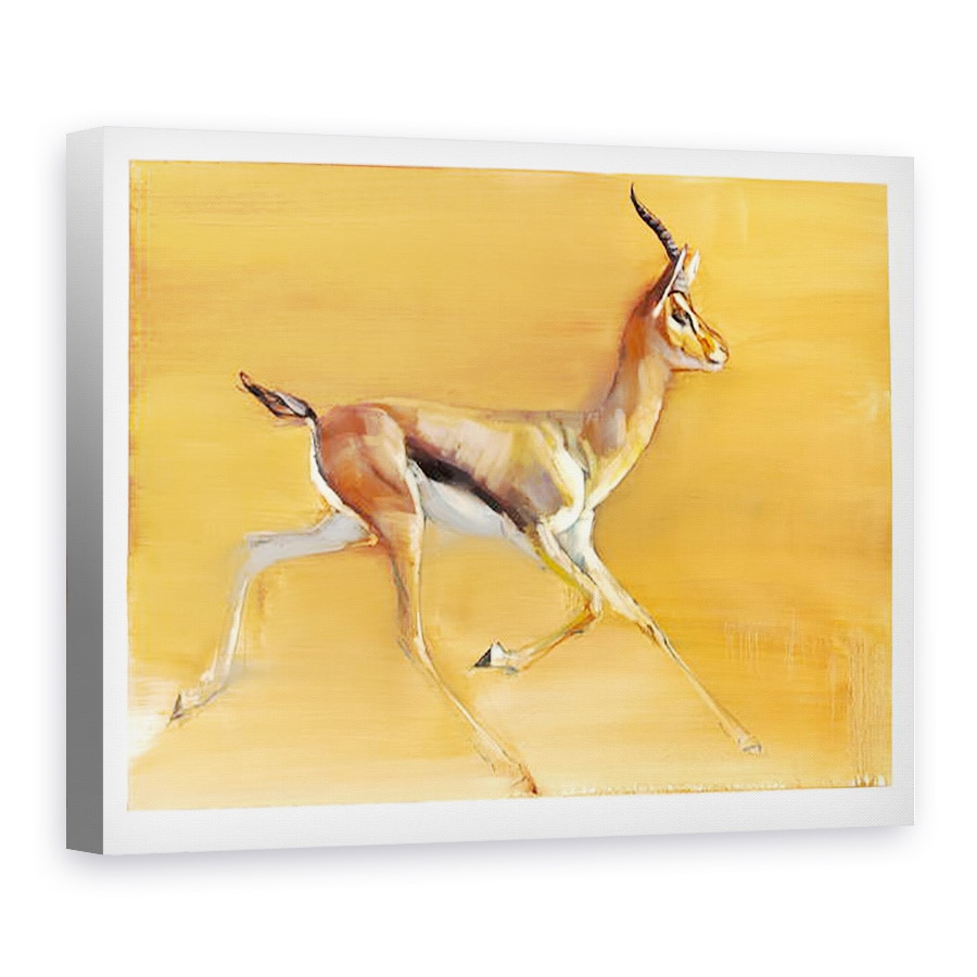 Tablou canvas - Mark Adlington - Gazela araba, 75 x 100 cm