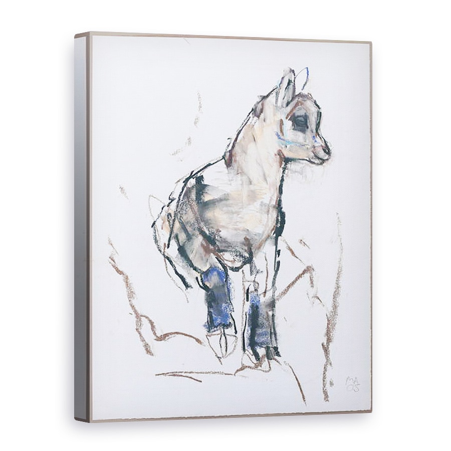 Tablou canvas - Mark Adlington - Copil Ibex, 75 x 100 cm