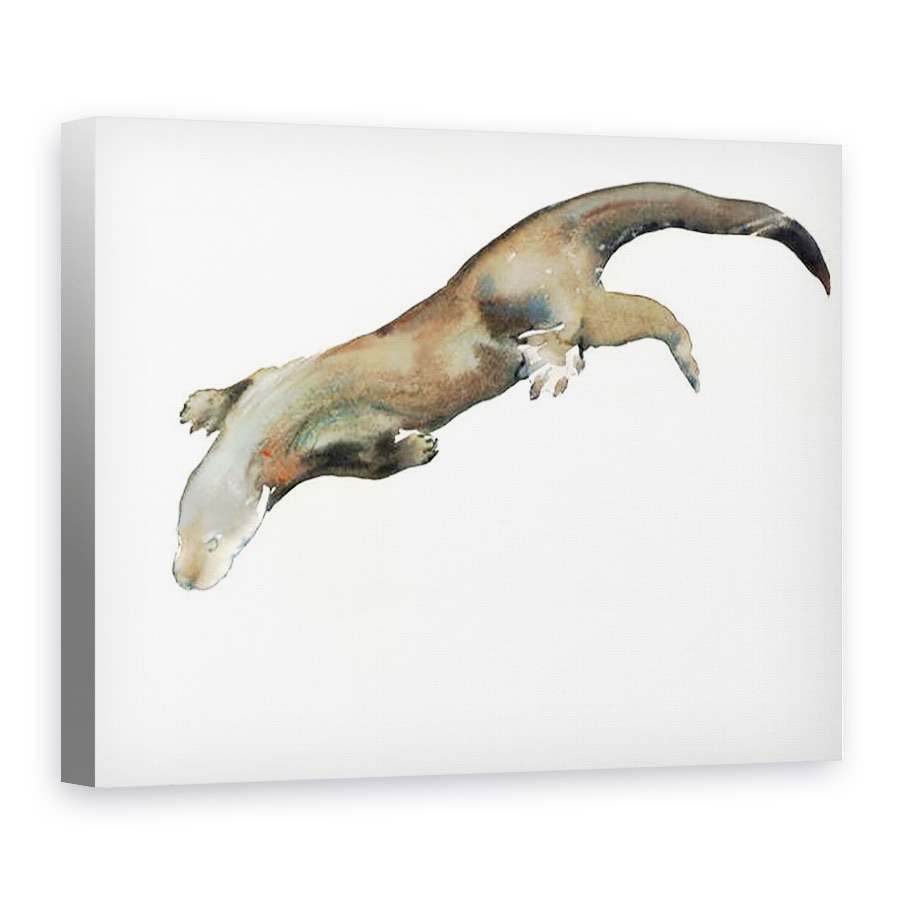 Tablou canvas - Mark Adlington - Tanara vidra, 75 x 100 cm