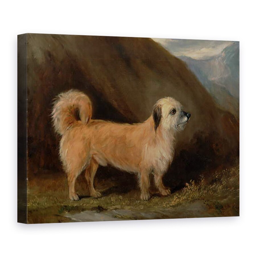 Tablou canvas - John E. Ferneley - Un Terrier Dandie Dinmont, 60 x 80 cm