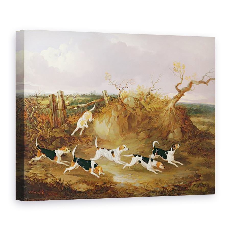 Tablou canvas - John Dalby - Beagle in Full Cry, 60 x 80 cm