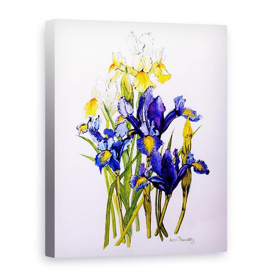 Tablou canvas - Joan Thewsey - Trei Purpuriu si doua Iris galbene cu muguri,2010, 60 x 80 cm