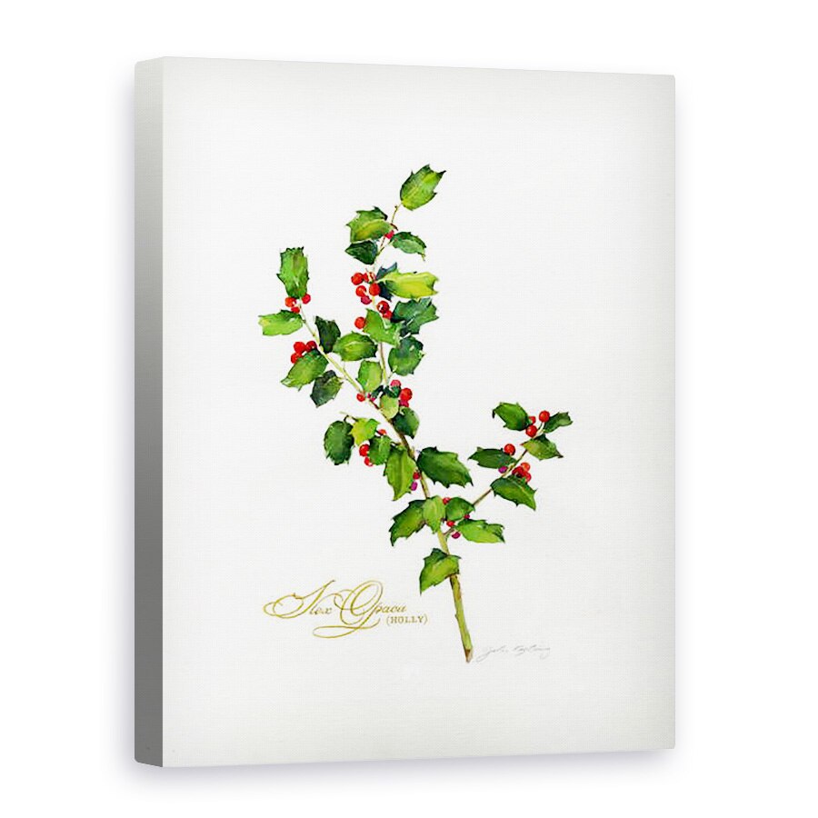 Tablou canvas - John Keeling - Holly botanica, 2013, 60 x 80 cm