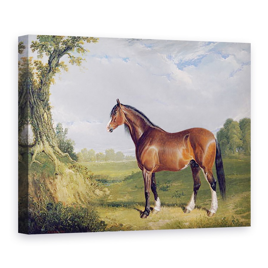 Tablou canvas - John Frederick Herring Snr - Un armasar din Clydesdale, 75 x 100 cm