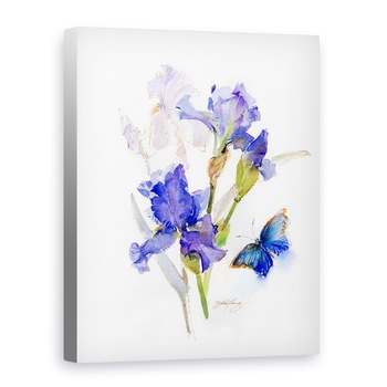 Tablou canvas - John Keeling - Iris cu fluture albastru, 2016, 50 x 70 cm Tablou canvas - John Keeling - Iris cu fluture albastru, 2016, 50 x 70 cm