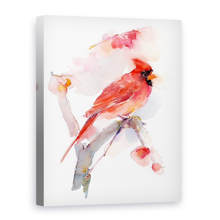 Tablou canvas - John Keeling - Cardinal rosu, 2016, 50 x 70 cm