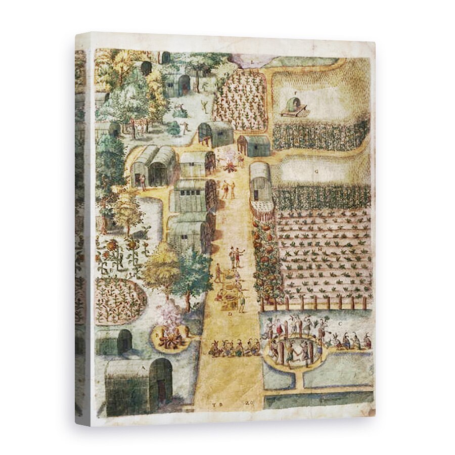 Tablou canvas - John White - Satul indian Secoton, 50 x 70 cm