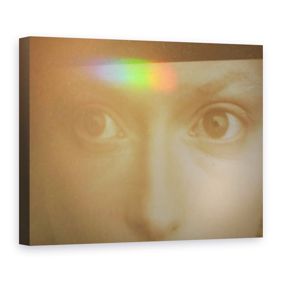 Tablou canvas - Lou Gibbs - Atins de Lumina, 2013, 60 x 80 cm