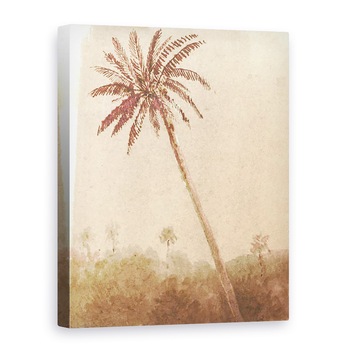 Tablou canvas - Lincoln Seligman - Palmier, 75 x 100 cm Tablou canvas - Lincoln Seligman - Palmier, 75 x 100 cm