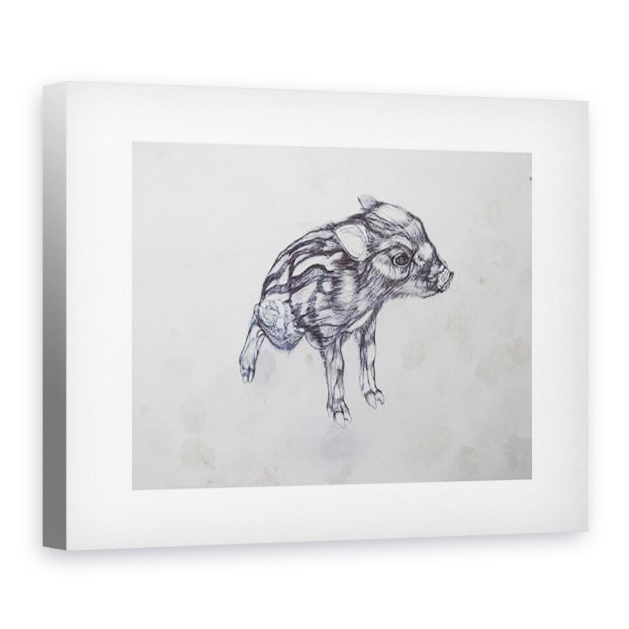 Tablou canvas - Lou Gibbs - Porcusor, 2015, 60 x 80 cm