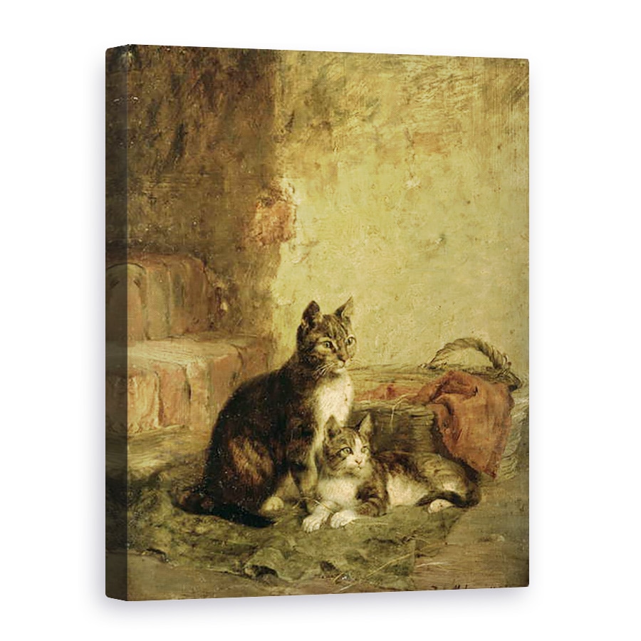 Tablou canvas - Julius Adam - Pisici, 50 x 70 cm