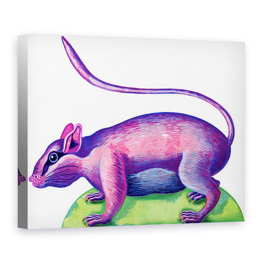 Tablou canvas - Jane Tattersfield - Sobolan, 1996, 60 x 80 cm