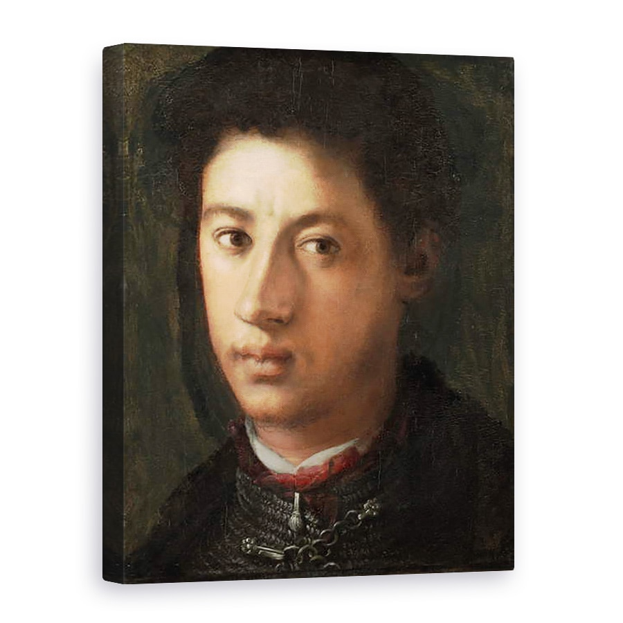 Tablou canvas - Jacopo Pontormo - Alessandro de Medici, 75 x 100 cm
