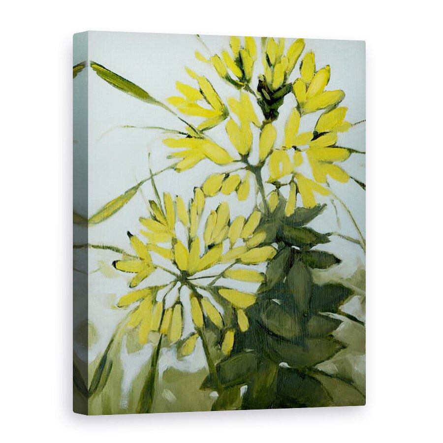 Tablou canvas - Megan Moore - Cleome galbene, 50 x 70 cm