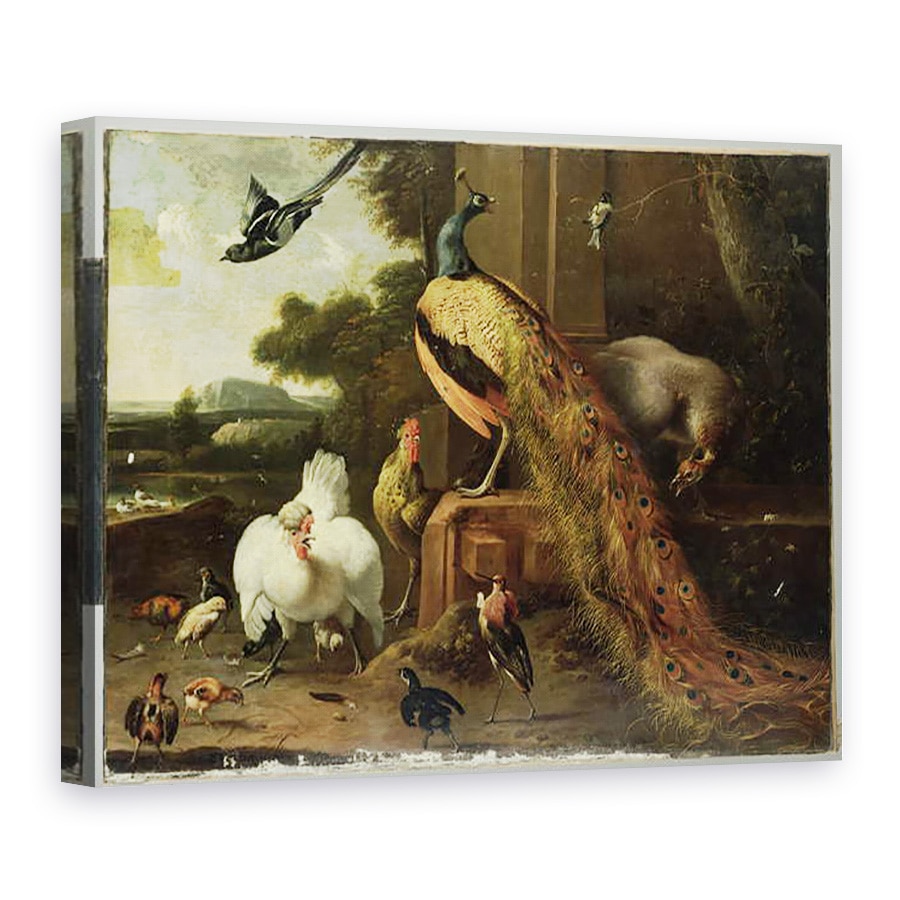 Tablou canvas - Melchior de Hondecoeter - Revolta in lovitura de stat a pasarilor, 60 x 80 cm