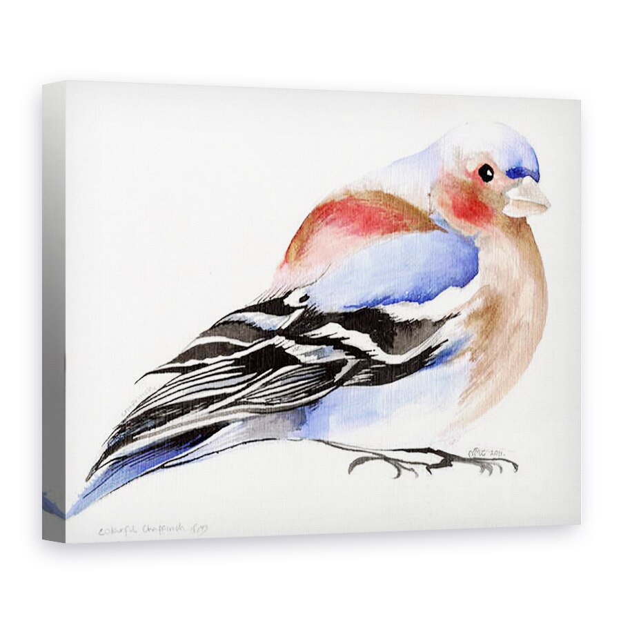 Tablou canvas - Nancy Moniz Charalambous - Chaffinch colorat, 2011, 60 x 80 cm