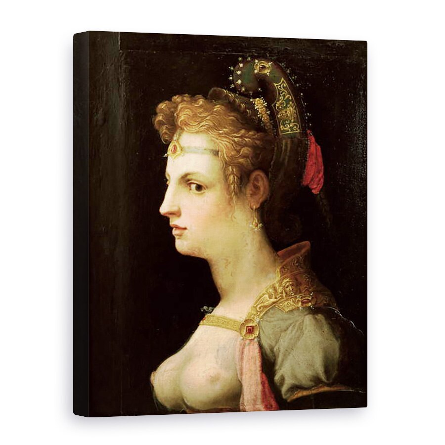 Tablou canvas - Michele di Ridolfo Tosini - Venus Victrix, 60 x 80 cm