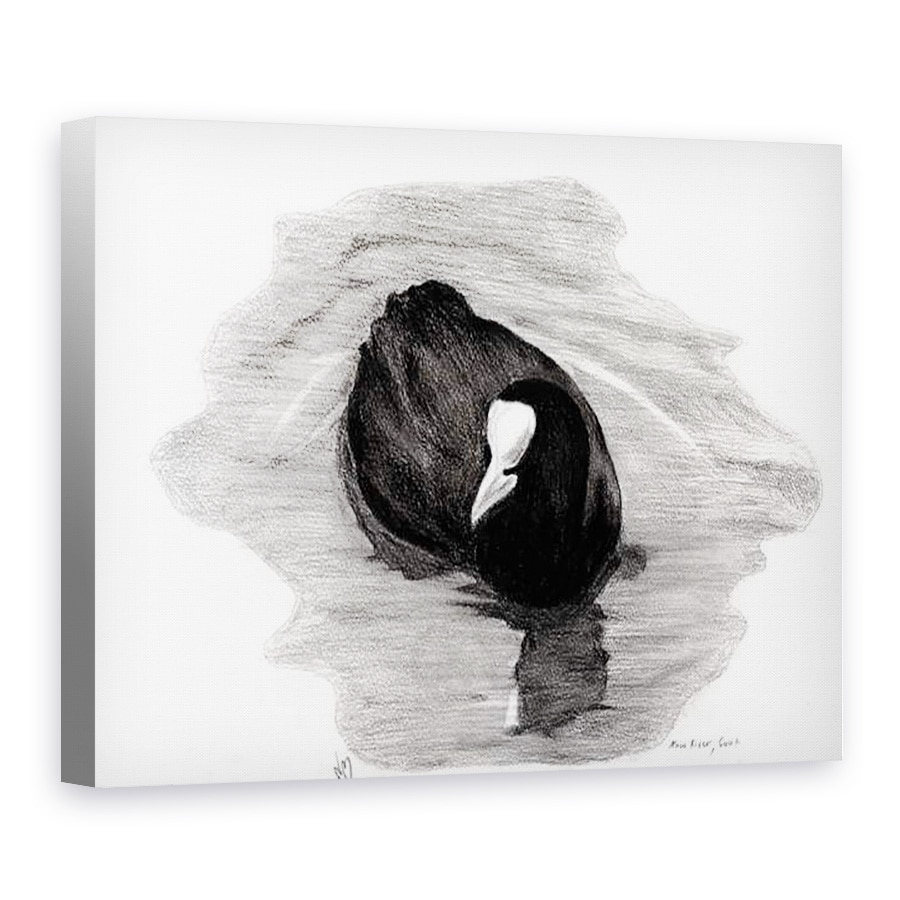 Tablou canvas - Nancy Moniz Charalambous - Coot din Londra, 50 x 70 cm
