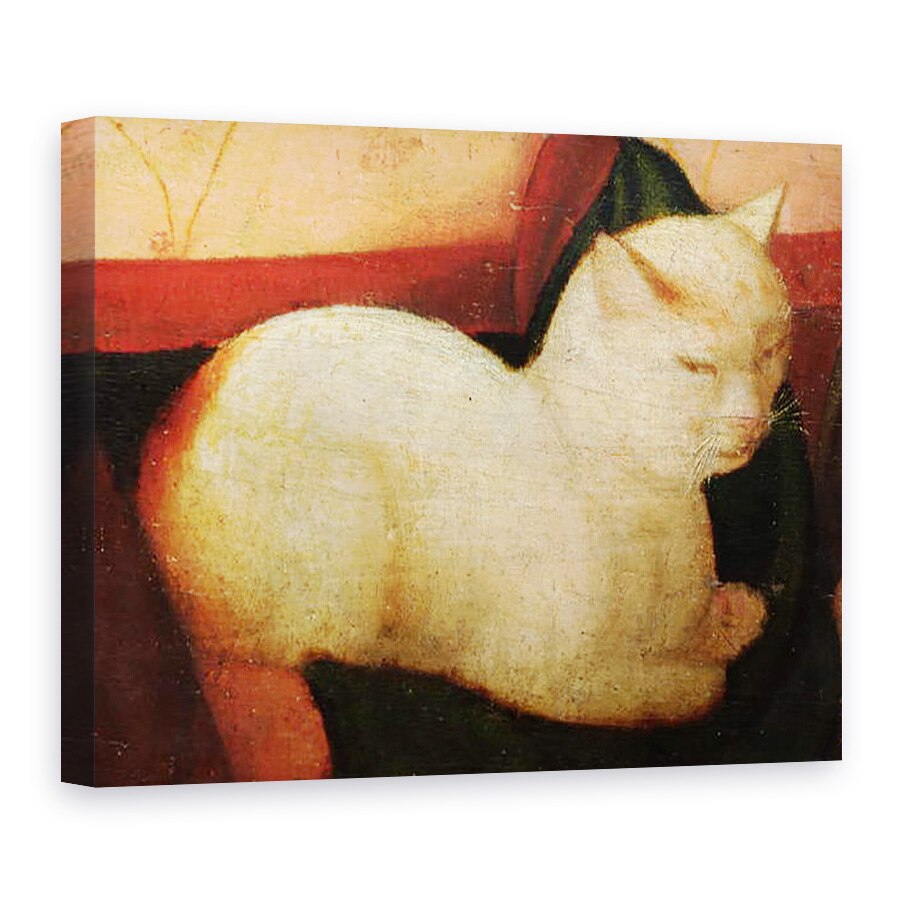 Tablou canvas - Niccolo Frangipane - O pisica alba, 60 x 80 cm