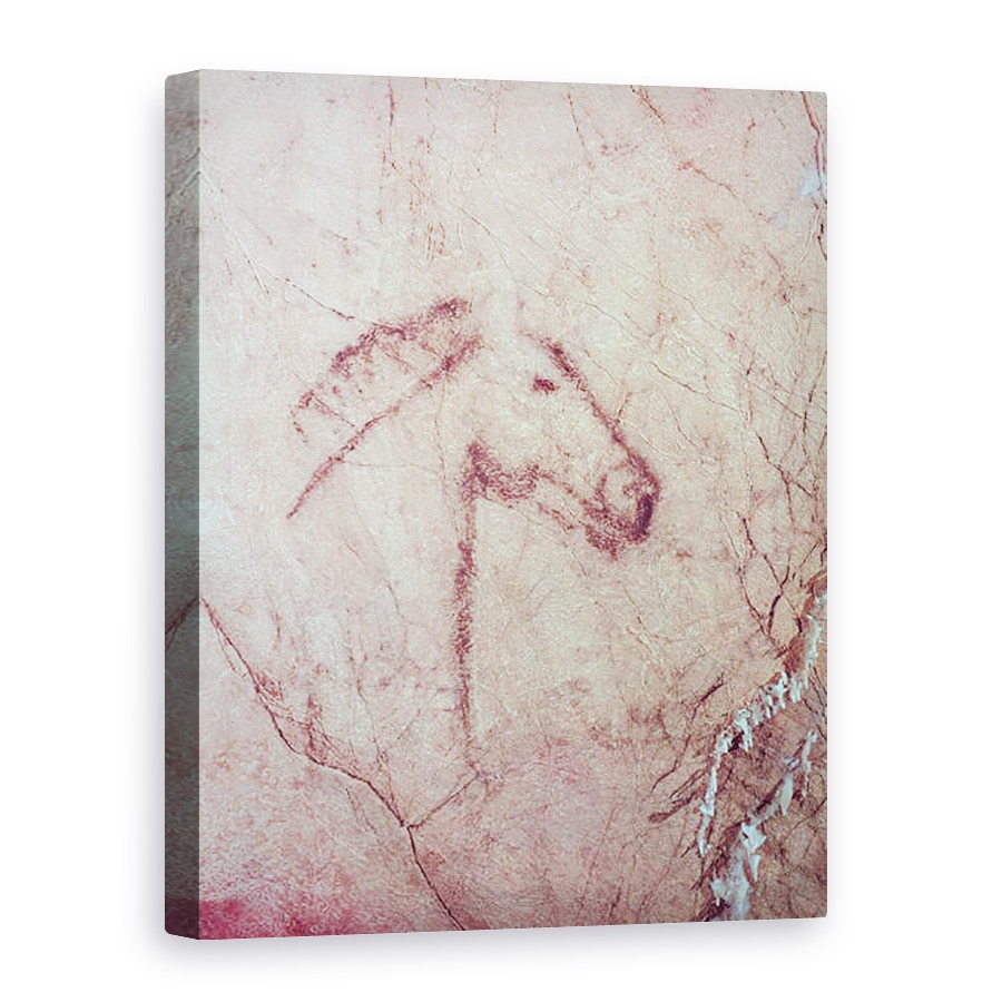 Tablou canvas - Paleolithic - Cap de cal, 60 x 80 cm