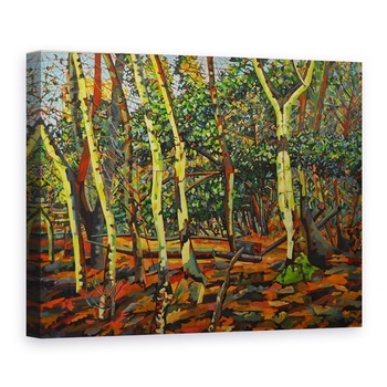 Tablou canvas - Noel Paine - 0, 60 x 80 cm Tablou canvas - Noel Paine - 0, 60 x 80 cm