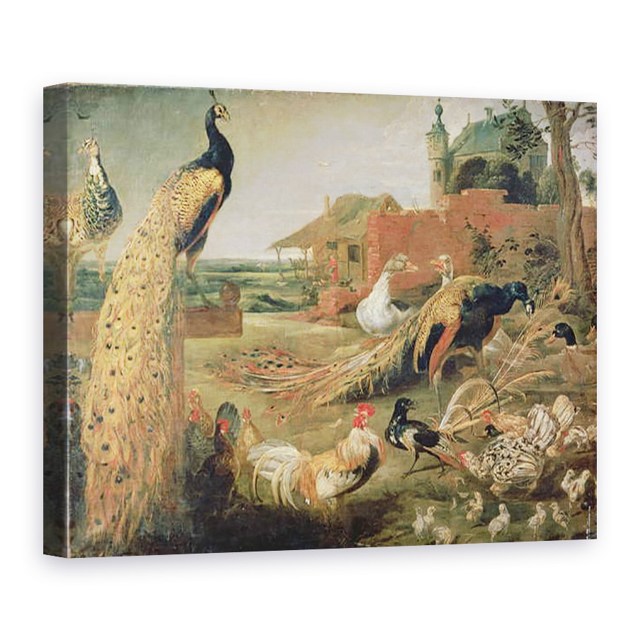 Tablou canvas - Paul de Vos - O cioara in pene de paun, 75 x 100 cm