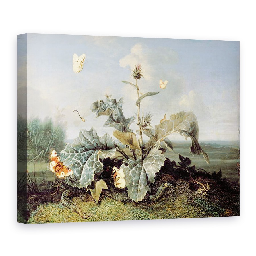Tablou canvas - Otto Marseus van Schrieck - Bush de brusture, 60 x 80 cm