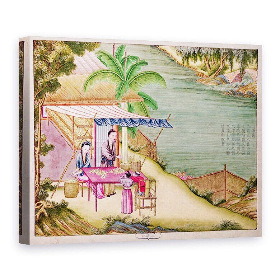 Tablou canvas - Scoala chineza - Ms 202 f.6 Sortarea coconilor, 50 x 70 cm