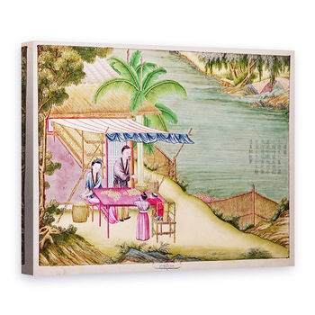 Tablou canvas - Scoala chineza - Ms 202 f.6 Sortarea coconilor, 50 x 70 cm Tablou canvas - Scoala chineza - Ms 202 f.6 Sortarea coconilor, 50 x 70 cm
