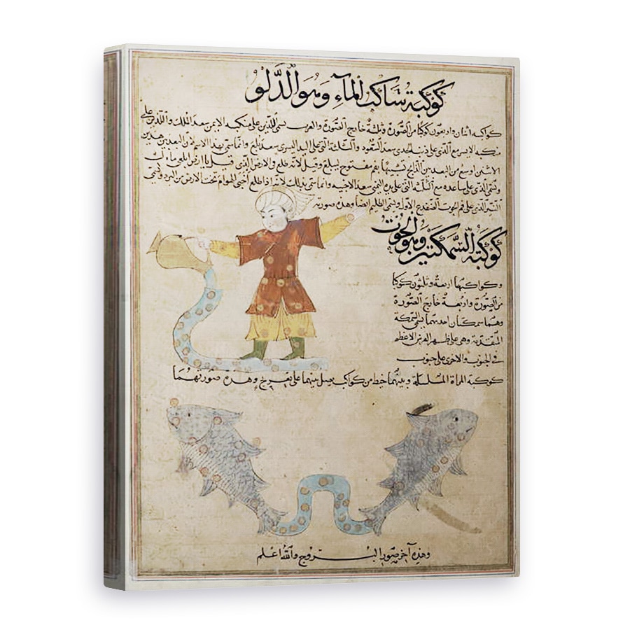 Tablou canvas - Scoala Islamica - Dna E-7 fol.25a Varsator si Pesti, 50 x 70 cm