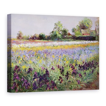 Tablou canvas - Timothy Easton - Iris Field si doua casute, 75 x 100 cm Tablou canvas - Timothy Easton - Iris Field si doua casute, 75 x 100 cm