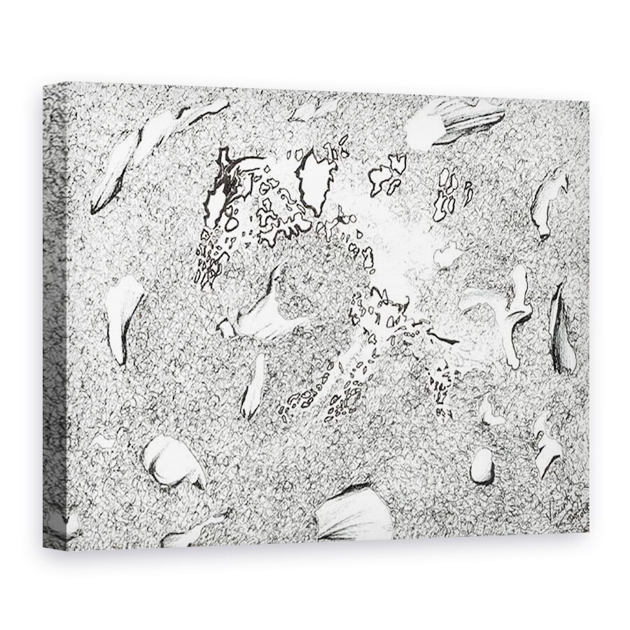 Tablou canvas - Vincent Alexander Booth - Aparitia cailor, 2017, 50 x 70 cm