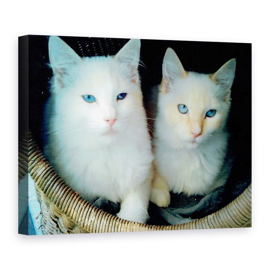 Tablou canvas - Vincent Alexander Booth - Cine a facut-o?, 2017, 75 x 100 cm