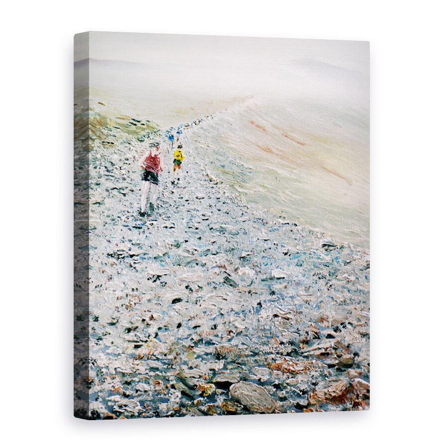 Tablou canvas - Vincent Alexander Booth - Fugi Snowdon, 2014, 75 x 100 cm